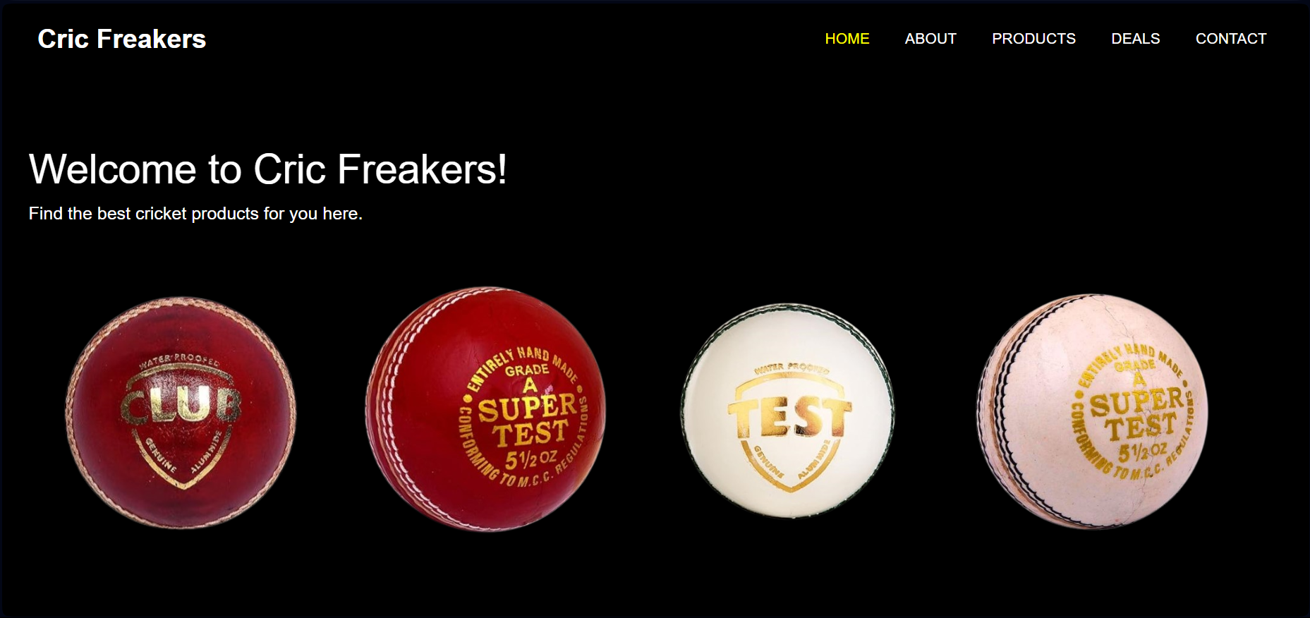 Retail Store Webpage screenshot